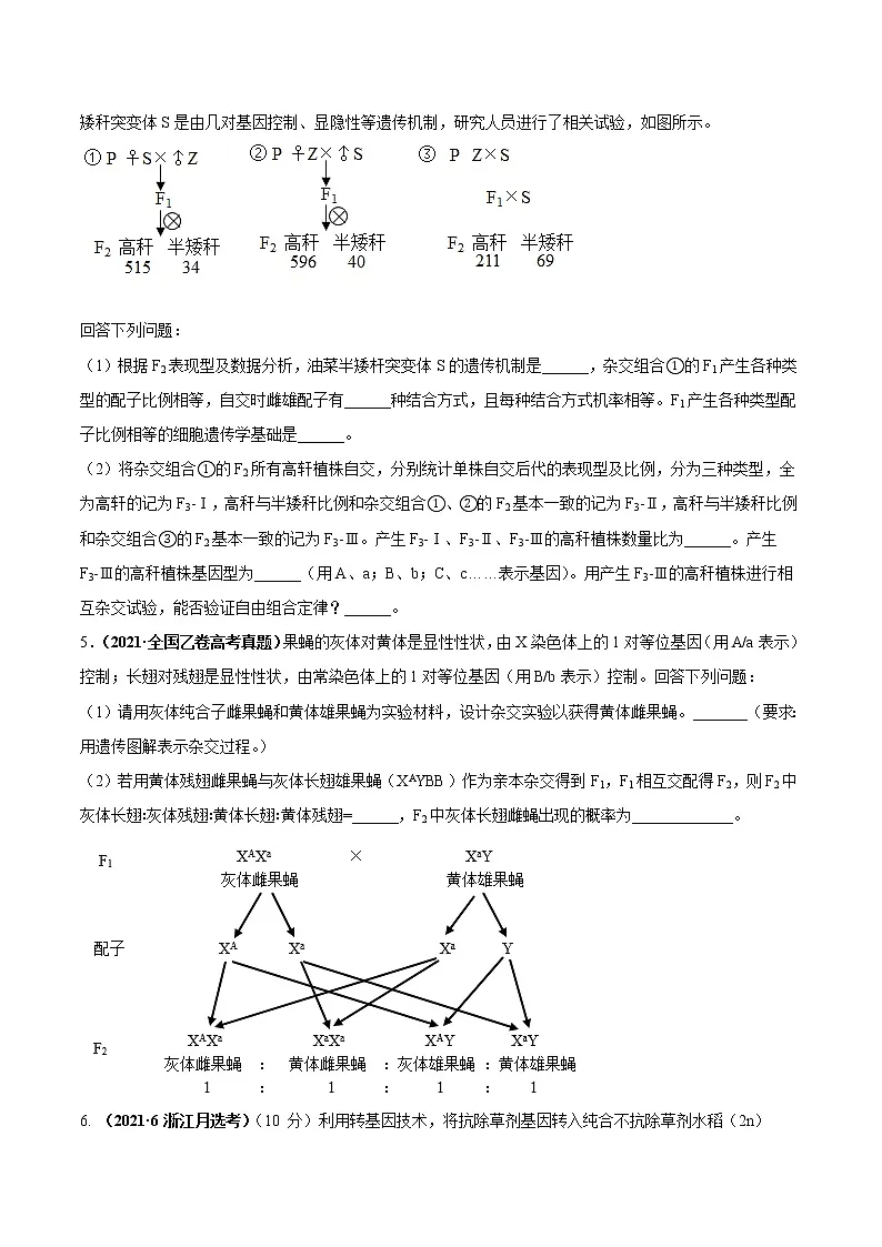 专题09基因的自由组合定律-三年(2019-2021)高考生物真题分项汇编(原卷版)第2页