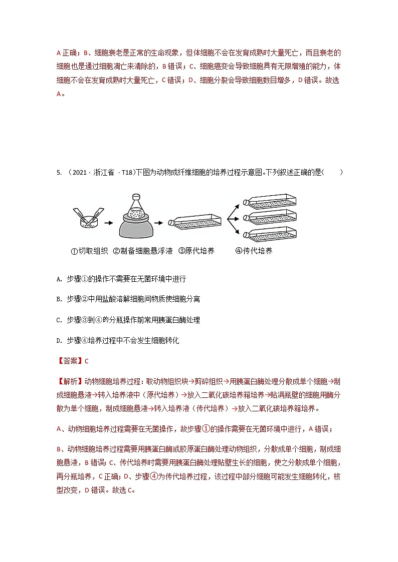 2021年高考真题和模拟题分类汇编+生物+专题05+细胞的生命历程+Word版含解析第3页