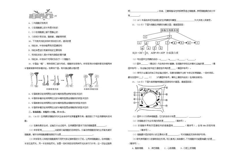 2021年新教材高中生物第三章细胞的基本结构双基训练金卷二新人教版必修1分子与细胞03