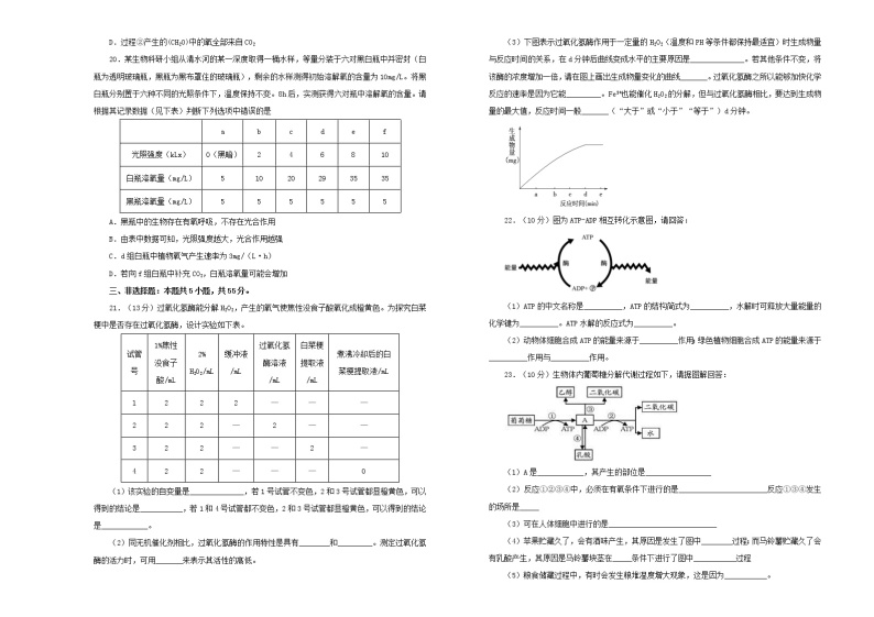 2021年新教材高中生物第五章细胞的能量供应和利用双基训练金卷一新人教版必修1分子与细胞03