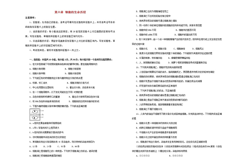 2021年新教材高中生物第六章细胞的生命历程双基训练金卷二新人教版必修1分子与细胞01