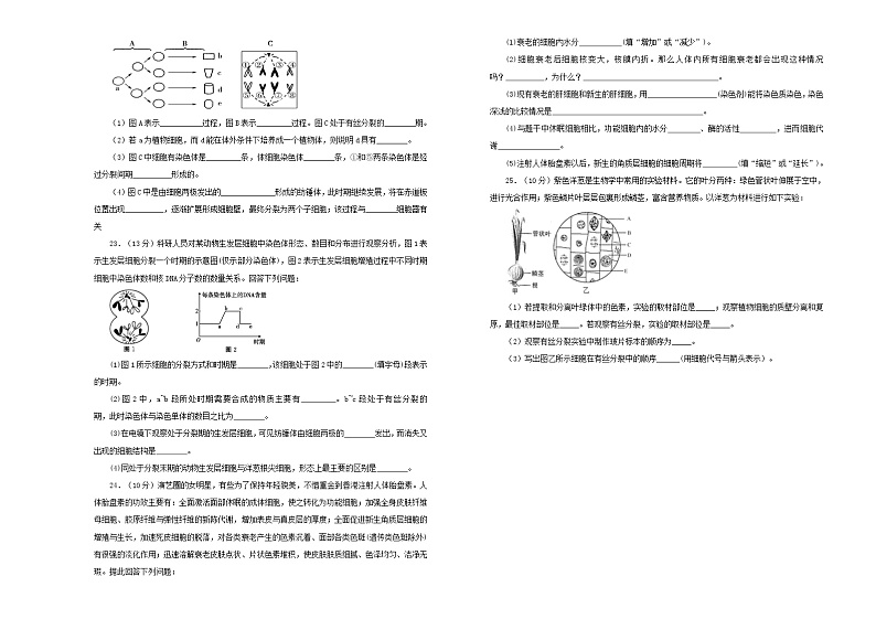 2021年新教材高中生物第六章细胞的生命历程双基训练金卷二新人教版必修1分子与细胞03