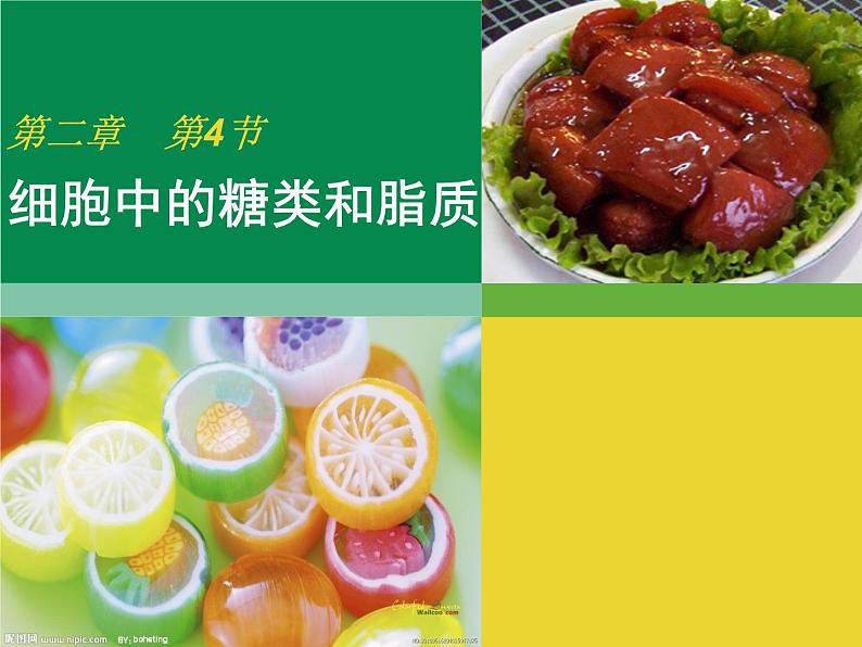 人教版高一生物课件《细胞中的糖类和脂质》01