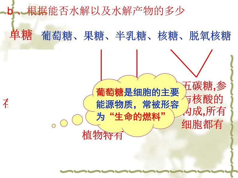 人教版高一生物课件《细胞中的糖类和脂质》08