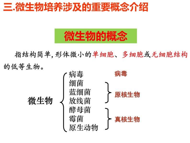 实验一 大肠杆菌的培养和分离(2)课件PPT08