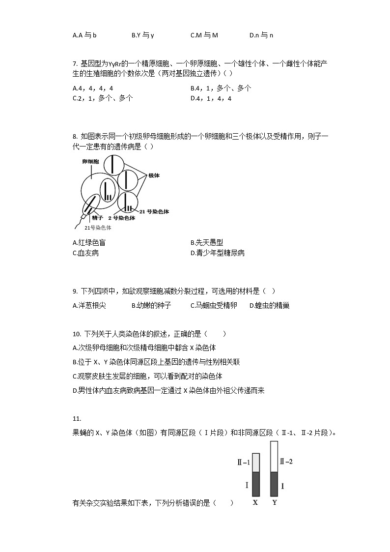 2021年人教版(2019)必修2生物第2章_基因和染色体的关系单元测试卷含答案第2页