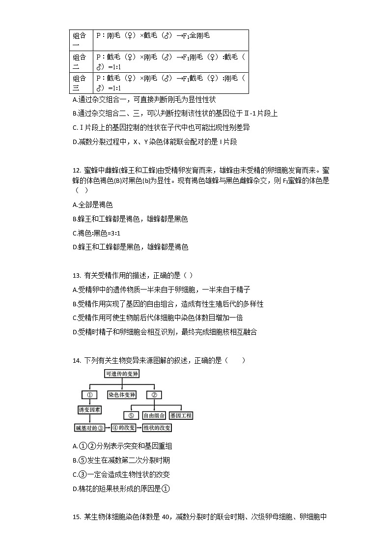 2021年人教版(2019)必修2生物第2章_基因和染色体的关系单元测试卷含答案第3页