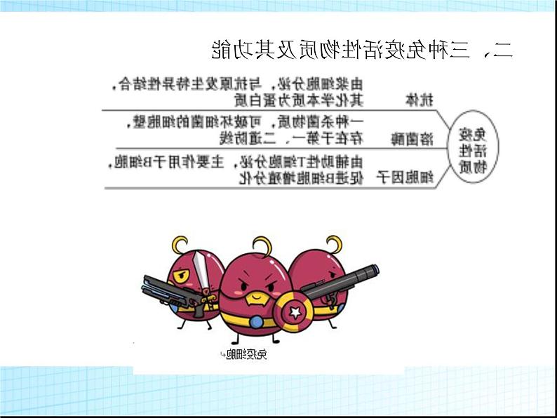 2022届新高考生物一轮复习第七单元 生命活动的调节(4)免疫调节课件第5页