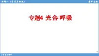 2022届高三二轮复习生物:专题4光合作用和呼吸作用课件
