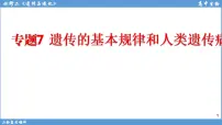 2022届高三二轮复习生物：专题7遗传的基本规律和人类遗传病课件