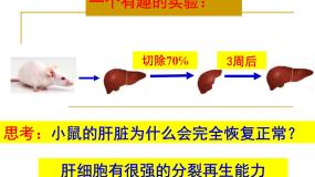 人教版 (新课标)必修1《分子与细胞》第1节 细胞的增殖课前预习ppt课件