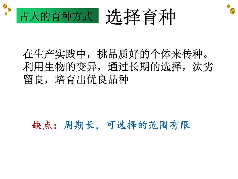 6.1杂交育种与诱变育种课件高一生物人教版必修二第2页