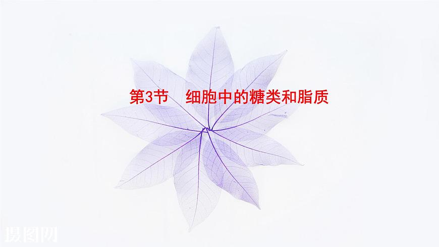 2021-2022學(xué)年高中生物新人教版必修1 2.3細胞中的糖類和脂質(zhì) 課件(27張)第1頁