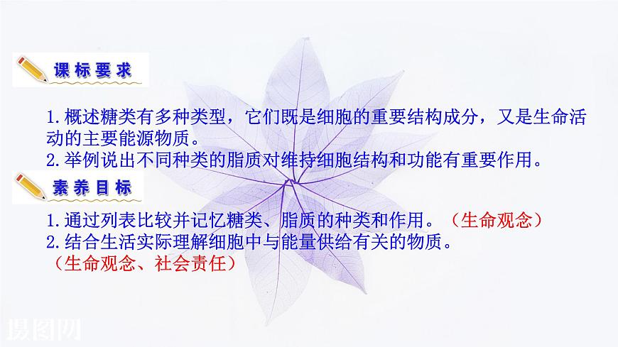 2021-2022學(xué)年高中生物新人教版必修1 2.3細胞中的糖類和脂質(zhì) 課件(27張)第3頁