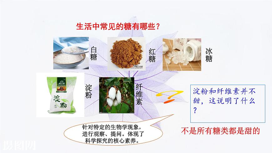 2021-2022學(xué)年高中生物新人教版必修1 2.3細胞中的糖類和脂質(zhì) 課件(27張)第5頁