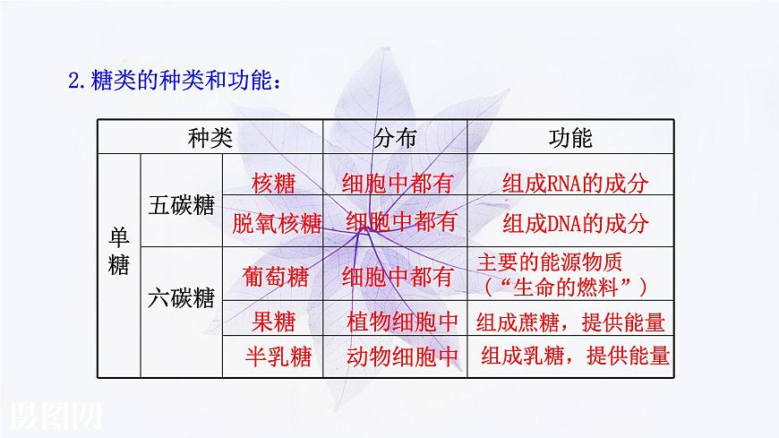 2021-2022學(xué)年高中生物新人教版必修1 2.3細胞中的糖類和脂質(zhì) 課件(27張)第7頁