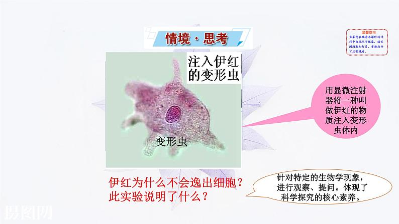 2021-2022学年高中生物新人教版必修1 3.1细胞膜的结构和功能 课件(35张)第2页