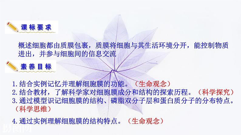 2021-2022学年高中生物新人教版必修1 3.1细胞膜的结构和功能 课件(35张)第3页