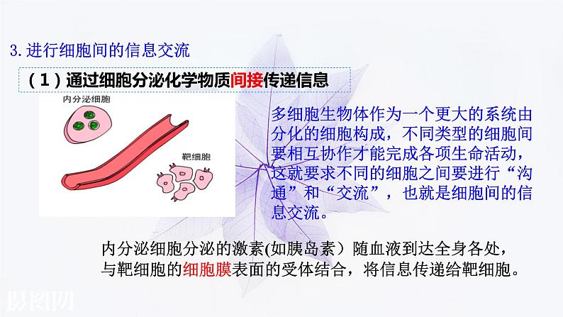 2021-2022学年高中生物新人教版必修1 3.1细胞膜的结构和功能 课件(35张)第7页