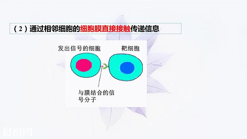 2021-2022学年高中生物新人教版必修1 3.1细胞膜的结构和功能 课件(35张)第8页