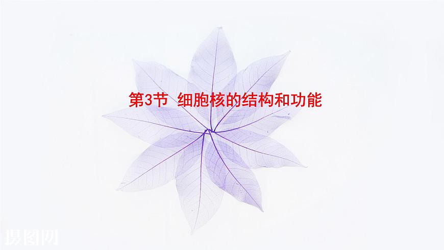 2021-2022學年高中生物新人教版必修1 3.3細胞核的結構和功能 課件(36張)第1頁
