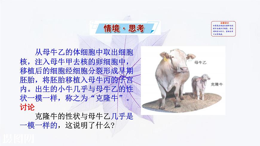 2021-2022學年高中生物新人教版必修1  3.3細胞核的結構和功能 課件（36張）第2頁