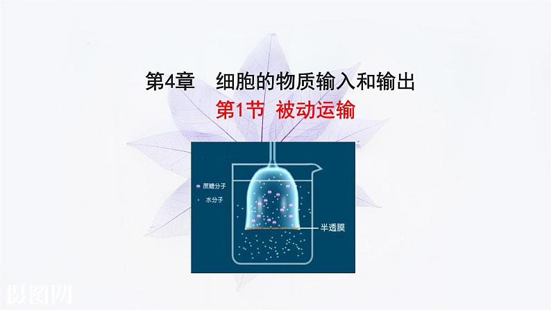 2021-2022学年高中生物新人教版必修1 4.1被动运输 课件(42张)第1页