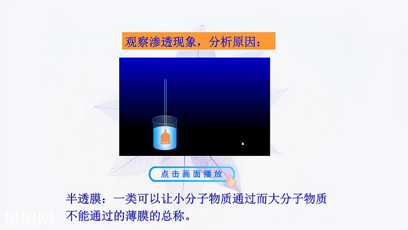 2021-2022学年高中生物新人教版必修1 4.1被动运输 课件(42张)第5页