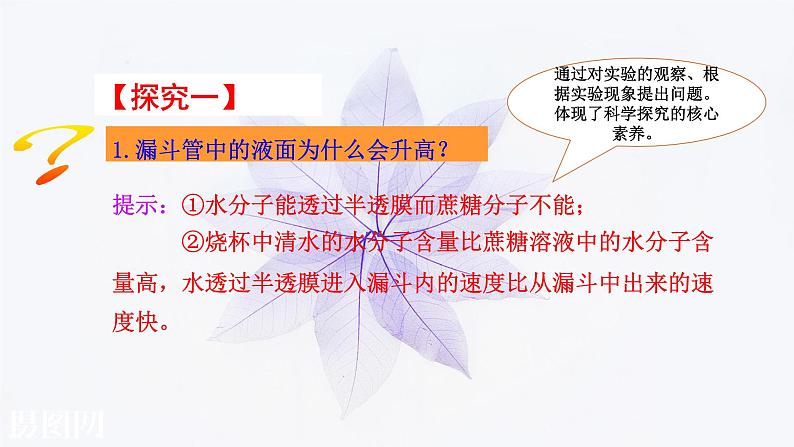 2021-2022学年高中生物新人教版必修1 4.1被动运输 课件(42张)第6页