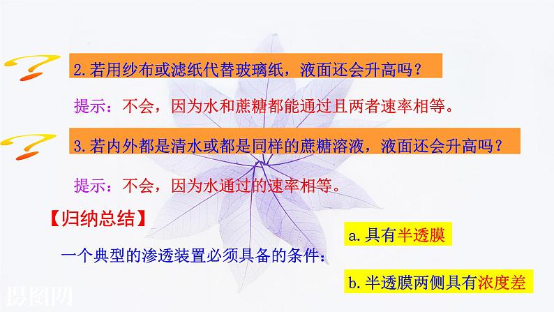 2021-2022学年高中生物新人教版必修1 4.1被动运输 课件(42张)第7页