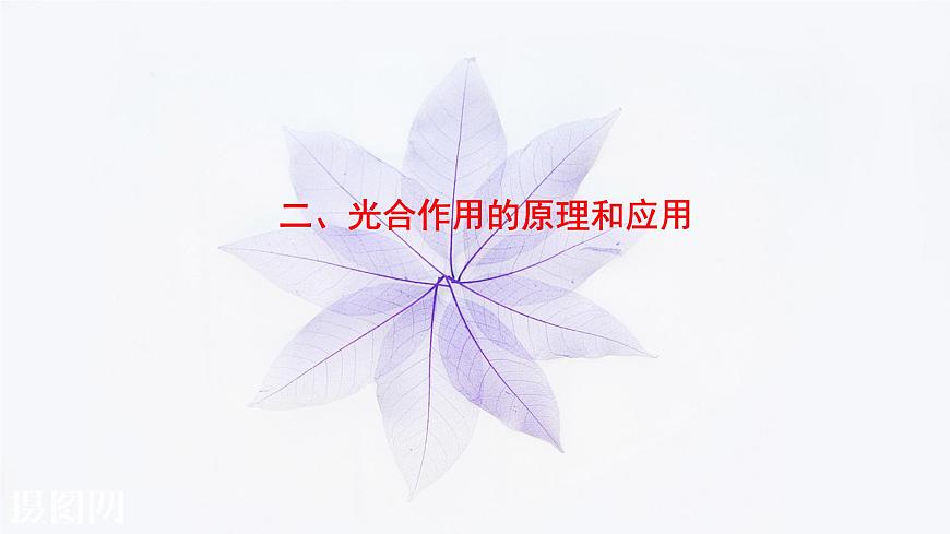 2021-2022學(xué)年高中生物新人教版必修1  5.4.2光合作用的原理和應(yīng)用 課件（47張）第1頁(yè)