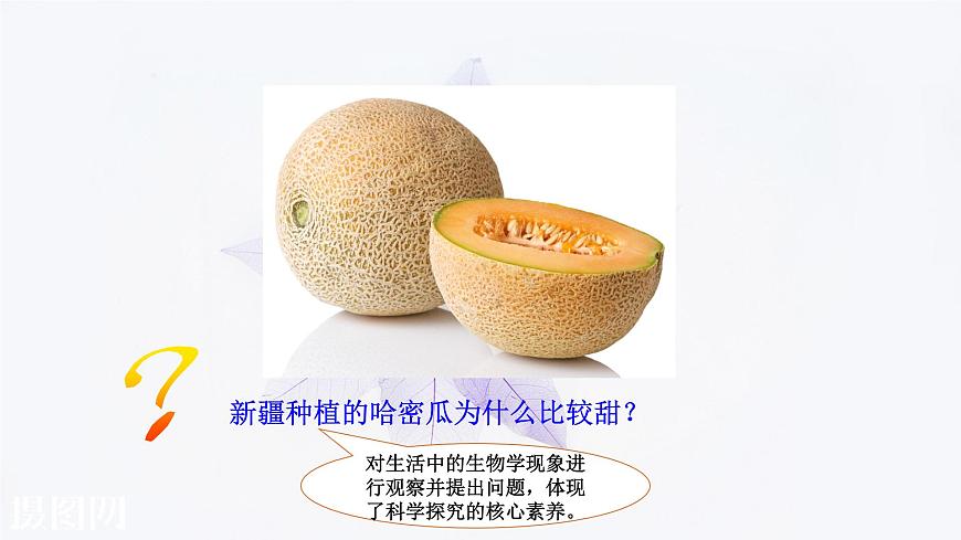 2021-2022學(xué)年高中生物新人教版必修1  5.4.2光合作用的原理和應(yīng)用 課件（47張）第3頁(yè)