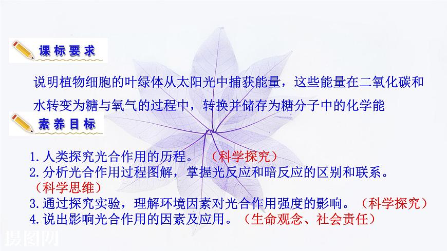 2021-2022學(xué)年高中生物新人教版必修1  5.4.2光合作用的原理和應(yīng)用 課件（47張）第4頁(yè)