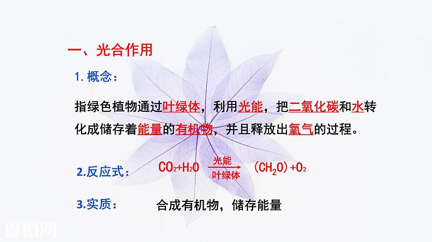 2021-2022學(xué)年高中生物新人教版必修1  5.4.2光合作用的原理和應(yīng)用 課件（47張）第6頁(yè)