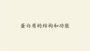 高中生物苏教版必修1《生物：分子与细胞》第二节 细胞中的生物大分子课文配套ppt课件