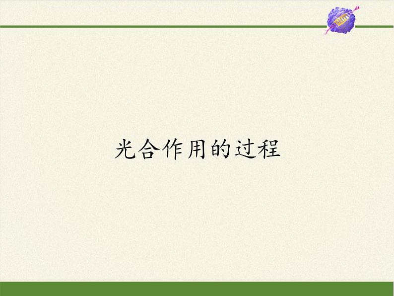 高中生物必修一课件-4.2.2光合作用的过程4-苏教版01