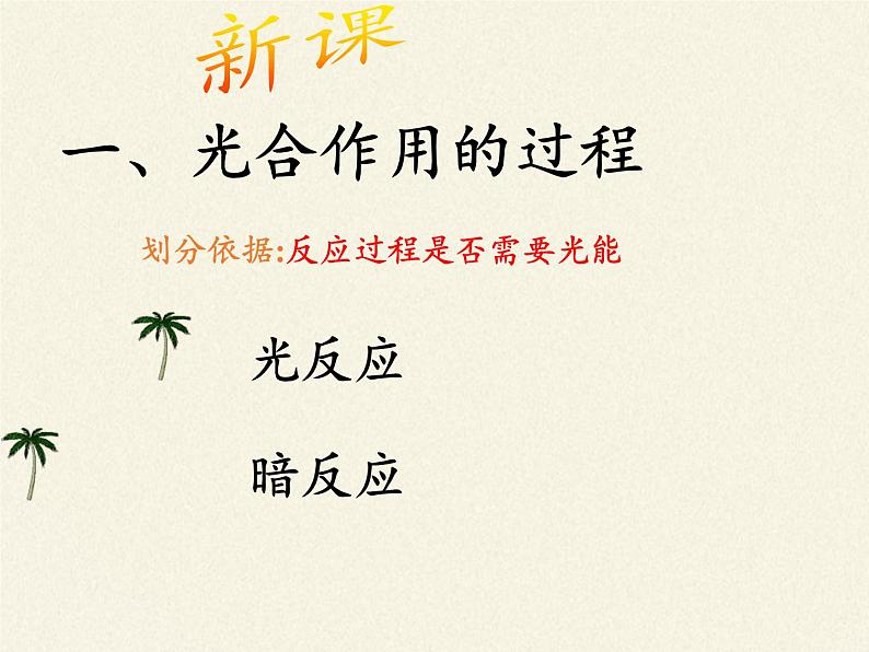 高中生物必修一课件-4.2.2光合作用的过程4-苏教版04