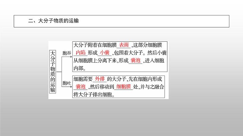 2020年人教版生物必修1 4.3 物质跨膜运输的方式 课件08