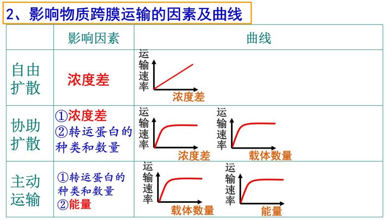 4.2 主动运输与胞吞、胞吐课件PPT05