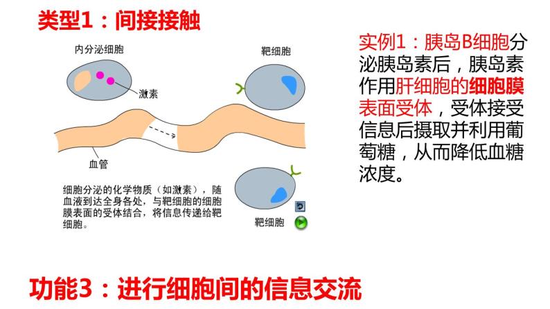 3.1细胞膜的结构和功能课件PPT04