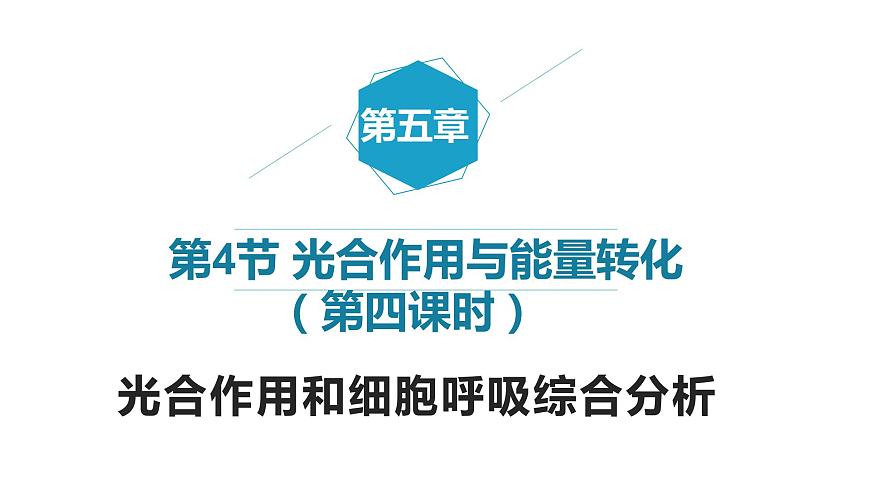 5.4 光合作用與能量轉(zhuǎn)化（第4課時）課件PPT第1頁