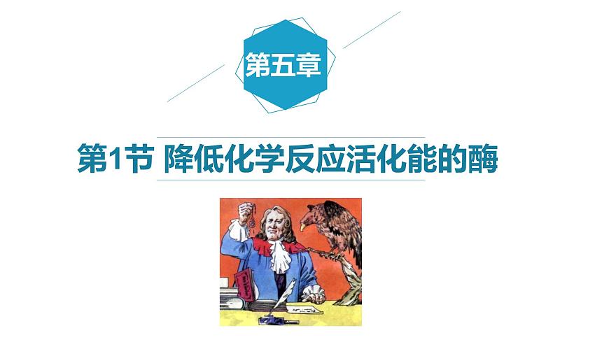 5.1 降低化學反應活化能的酶課件PPT第1頁