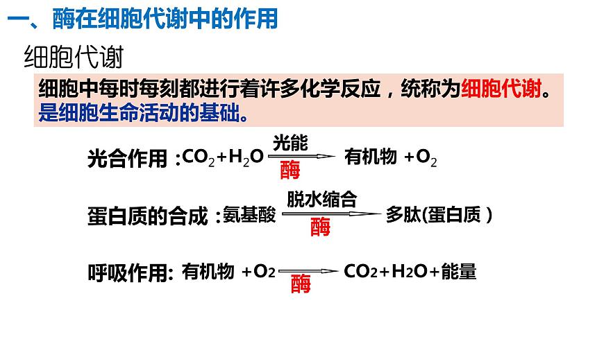 5.1 降低化學反應活化能的酶課件PPT第2頁