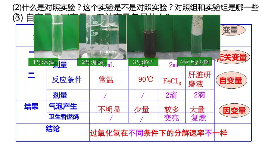 5.1 降低化學反應活化能的酶課件PPT第5頁