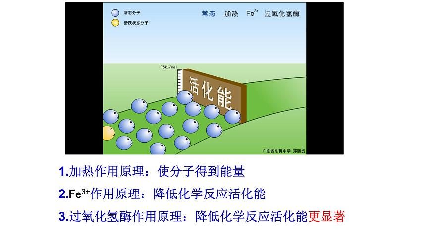 5.1 降低化學反應活化能的酶課件PPT第7頁