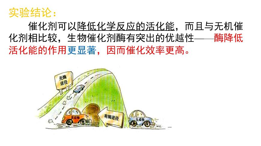 5.1 降低化學反應活化能的酶課件PPT第8頁