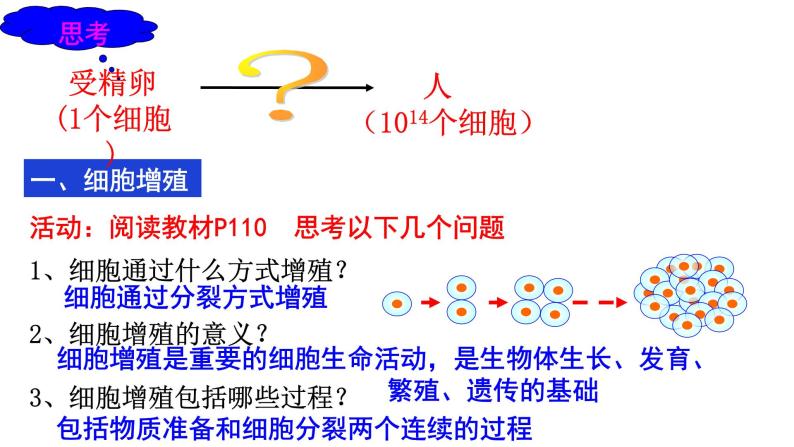 6.1 细胞的增殖课件PPT03