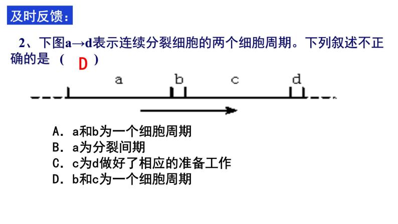 6.1 细胞的增殖课件PPT06