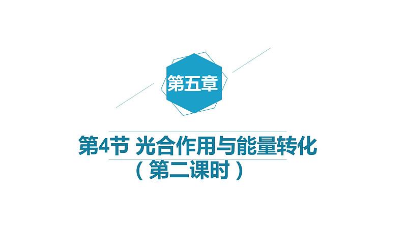 5.4 光合作用与能量转化(第2课时)课件PPT01