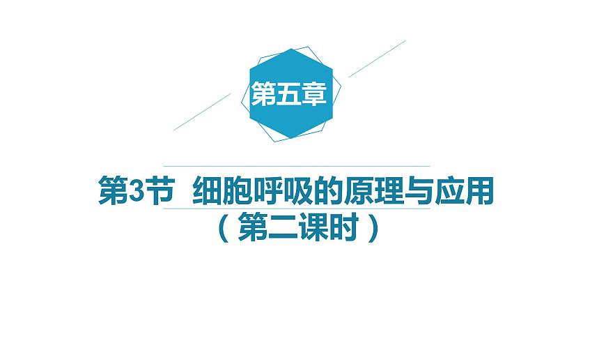 5.3細(xì)胞呼吸的原理與應(yīng)用 （第2課時(shí))課件PPT第1頁